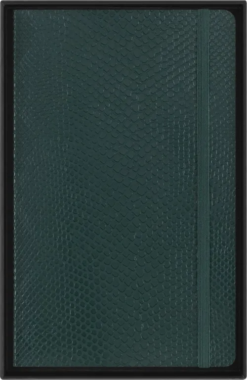 Precious & Ethical Vegea zápisník Moleskine linkovaný zelený L v dárkové krabici