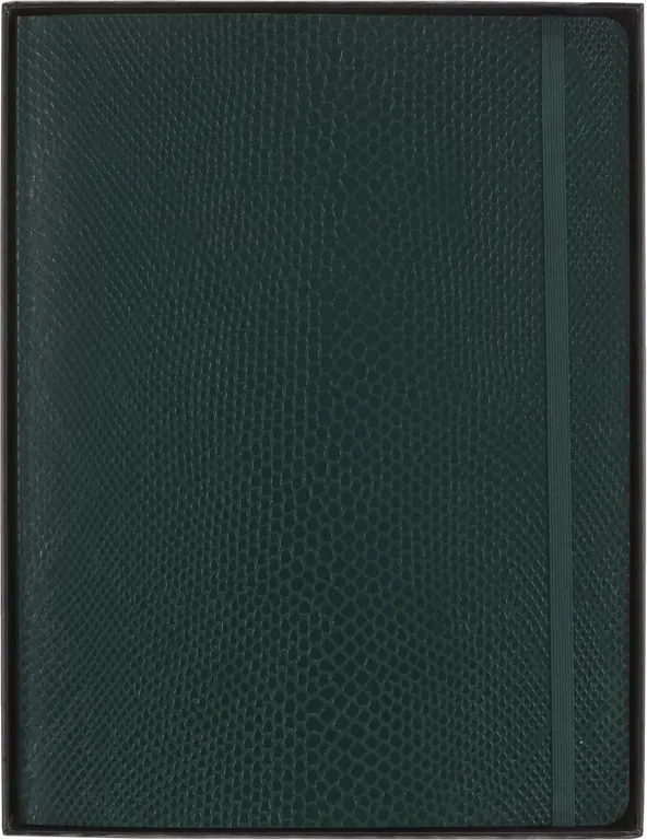 Precious & Ethical Vegea zápisník Moleskine linkovaný zelený XL v dárkové krabici