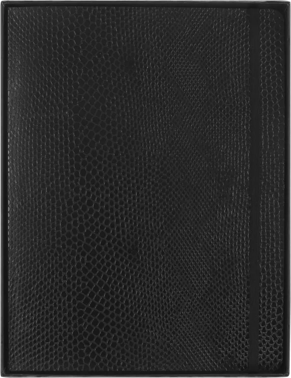 Precious & Ethical Vegea zápisník Moleskine linkovaný černý XL v dárkové krabici