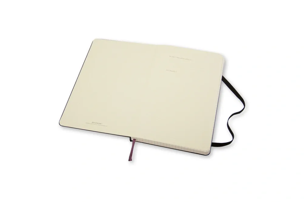 Zápisník Moleskine tvrdý čtverečkovaný černý L