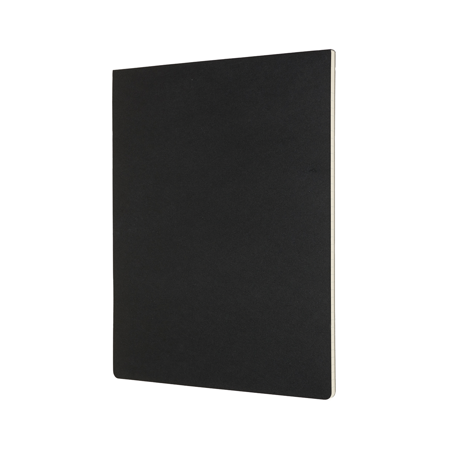 Poznámkový blok Moleskine Professional linkovaný černý - Letter