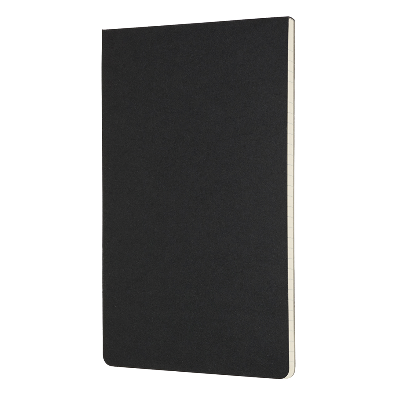 Poznámkový blok Moleskine Professional linkovaný černý L