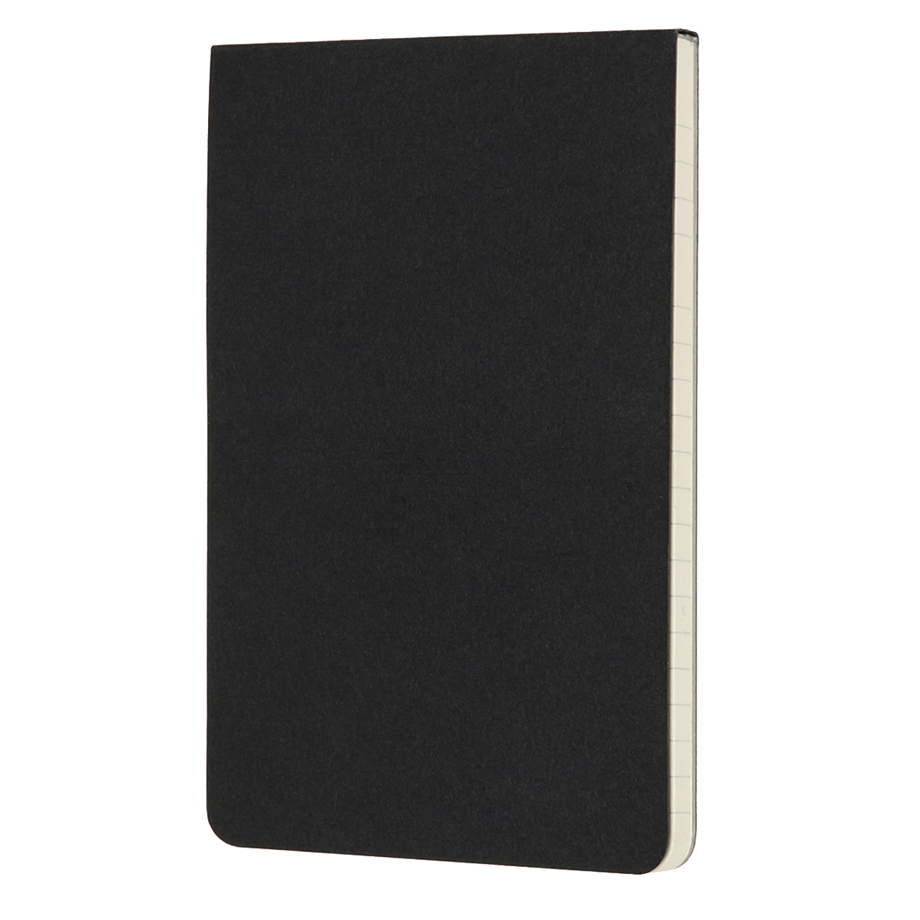 Poznámkový blok Moleskine Professional linkovaný černý S