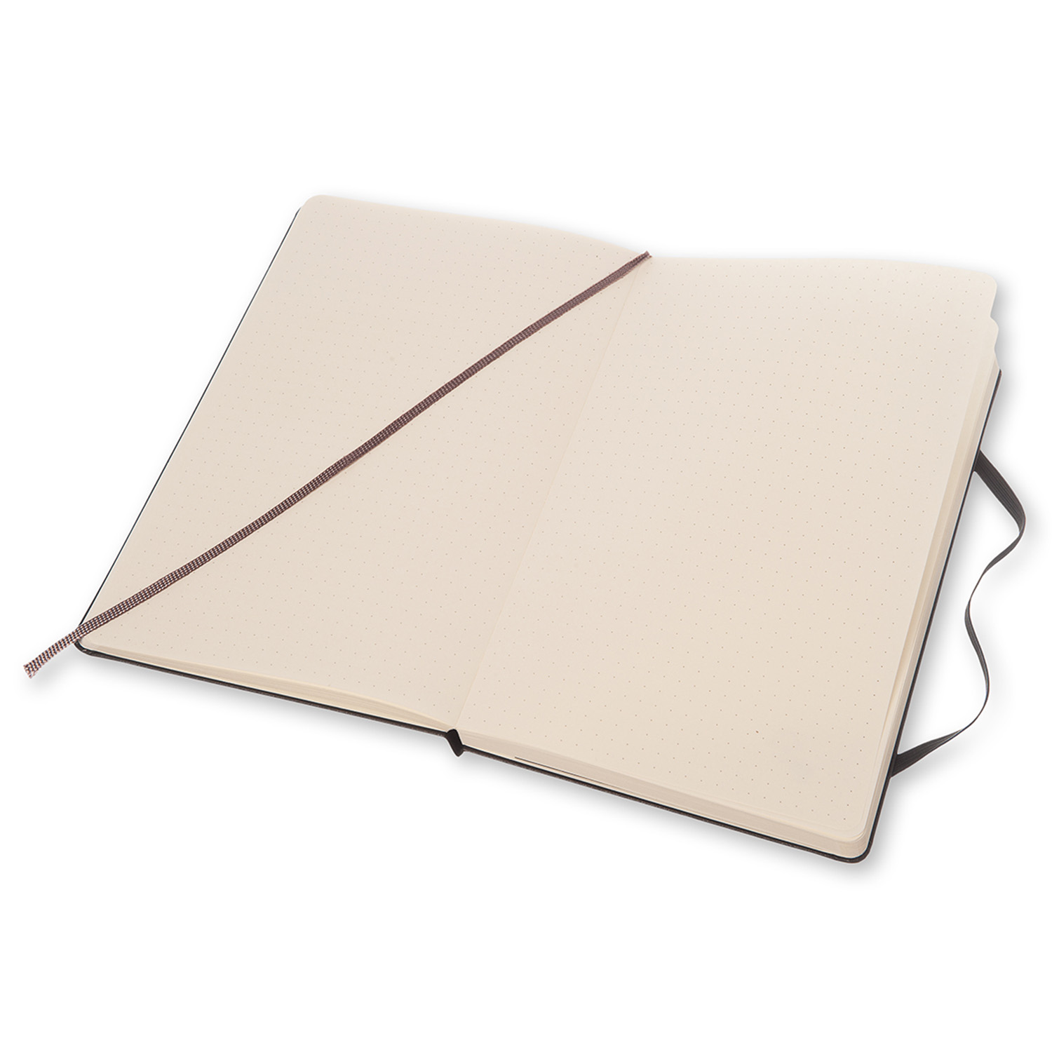 Zápisník Moleskine tvrdý tečkovaný černý L