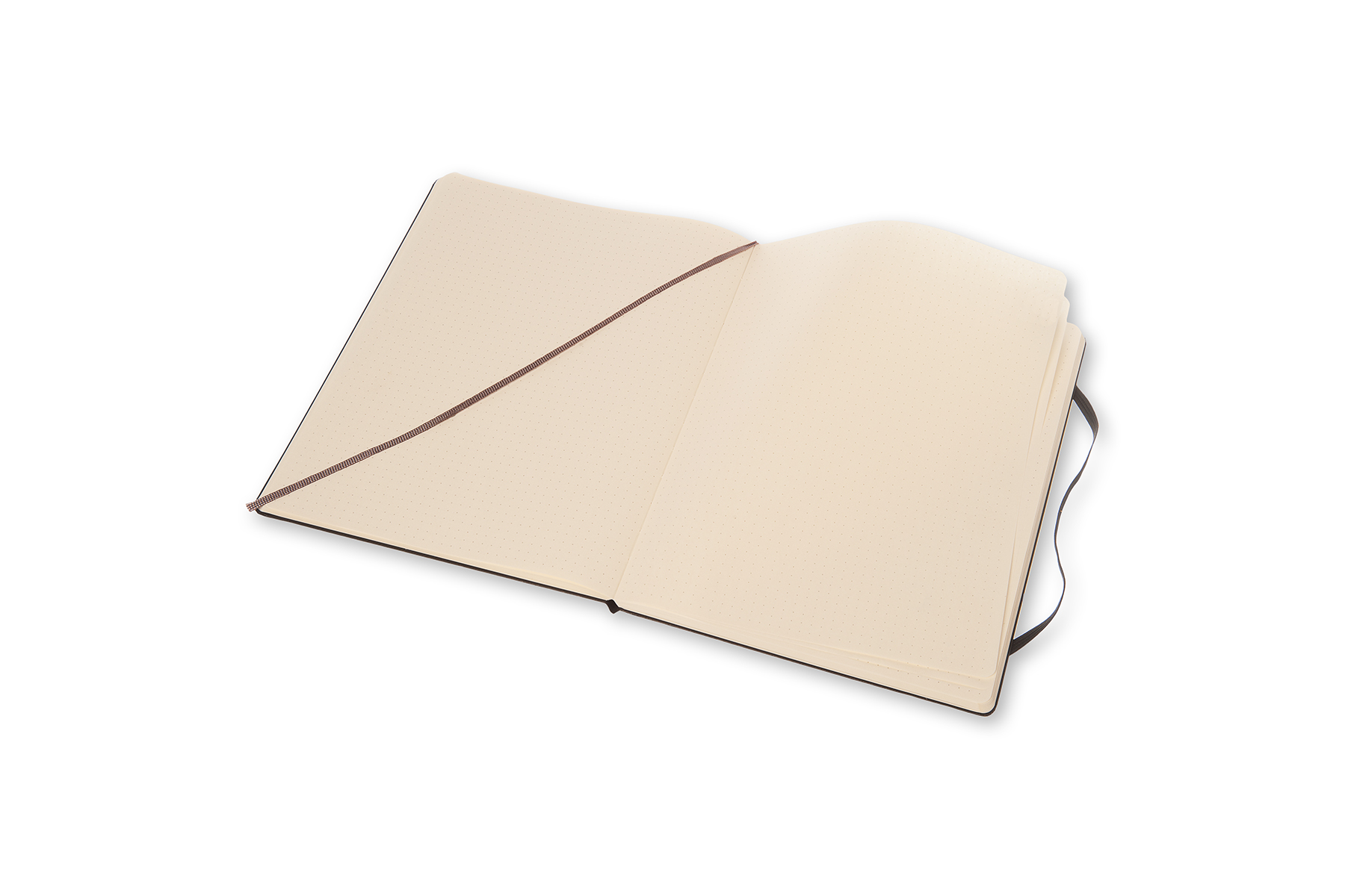 Zápisník Moleskine tvrdý tečkovaný černý XL