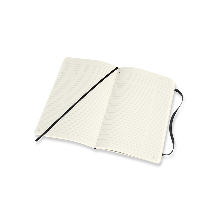 Professional diář-zápisník Moleskine měkký černý L 