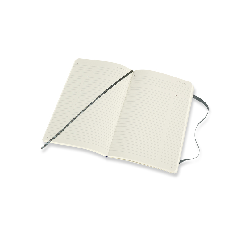 Professional diář-zápisník Moleskine měkký zelený L 