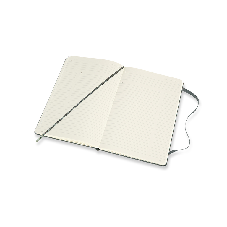 Professional diář-zápisník Moleskine tvrdý zelený L 