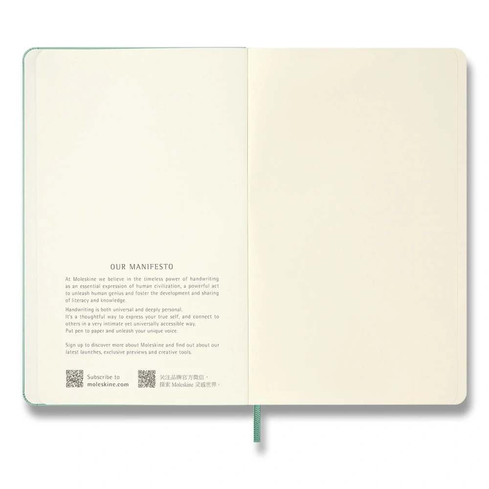 Zápisník Moleskine CP tvrdý čistý světle zelený L