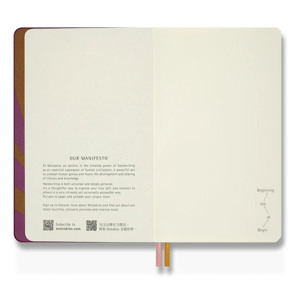 Alice in Wonderland zápisník Moleskine čistý tvrdý L