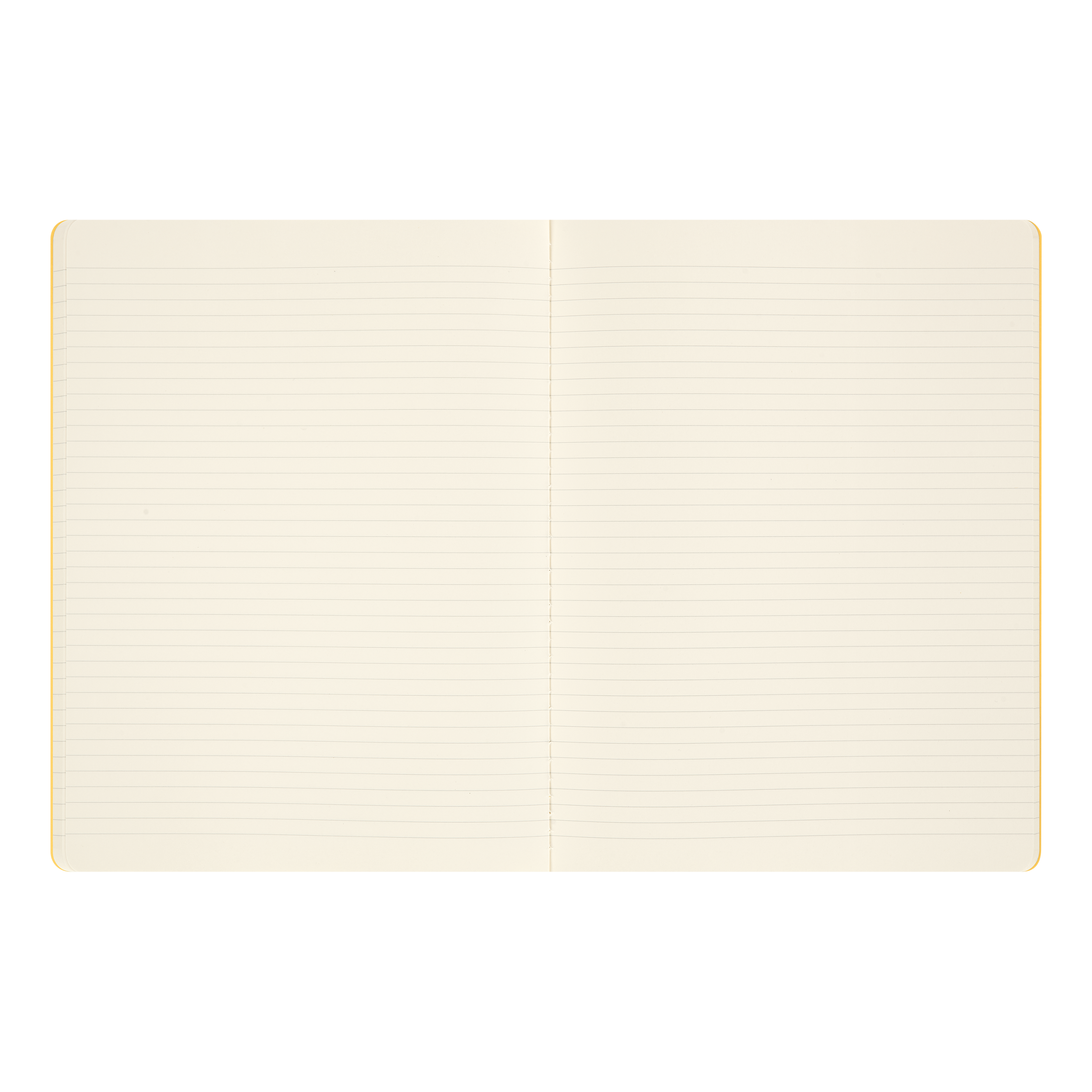 MoMA Van Gogh sešit Moleskine Cahier 1 ks linkovaný XL