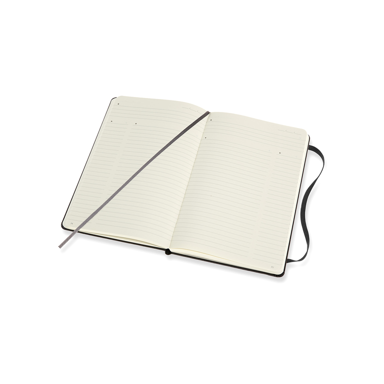 Professional diář-zápisník Moleskine tvrdý černý L