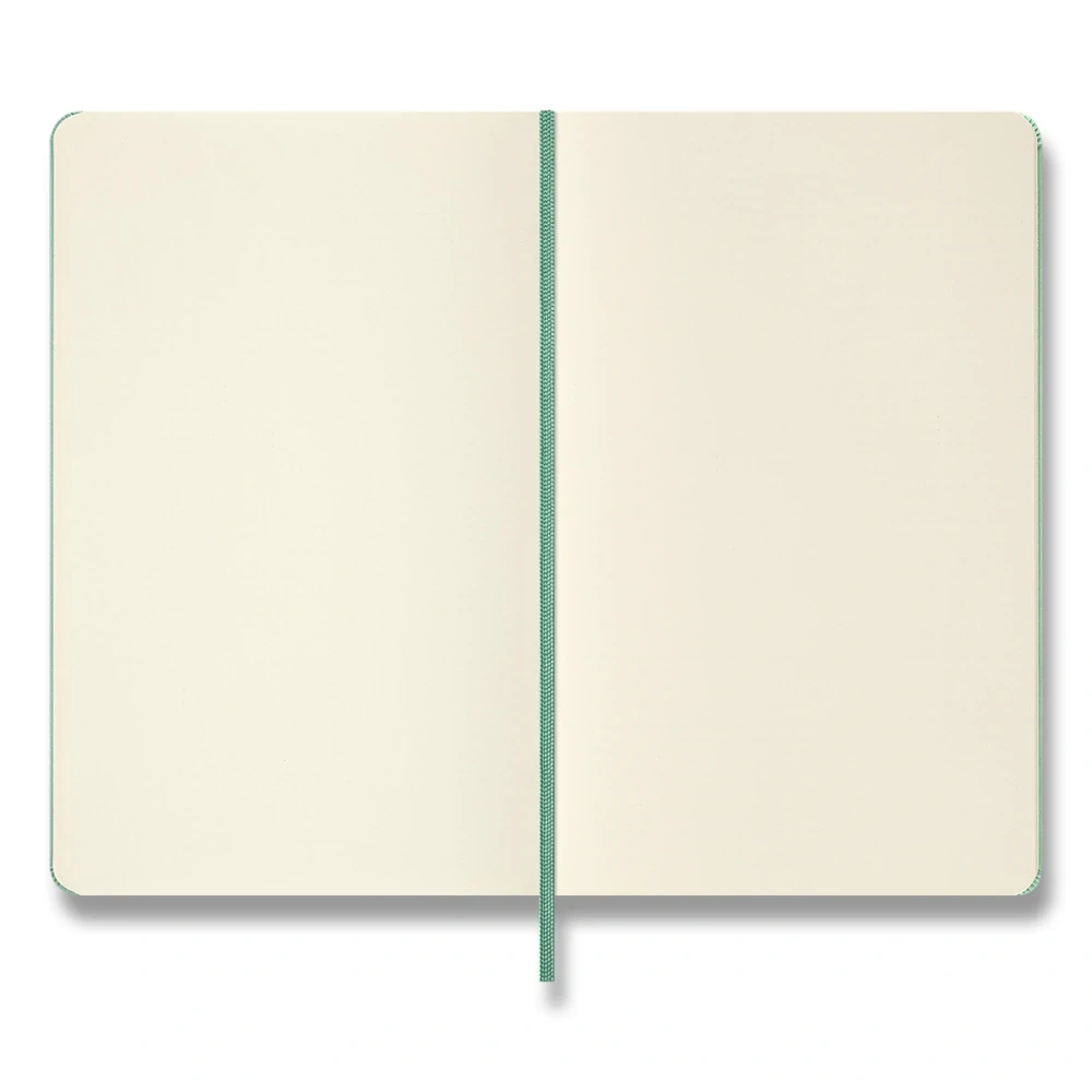 Zápisník Moleskine CP tvrdý čistý světle zelený L