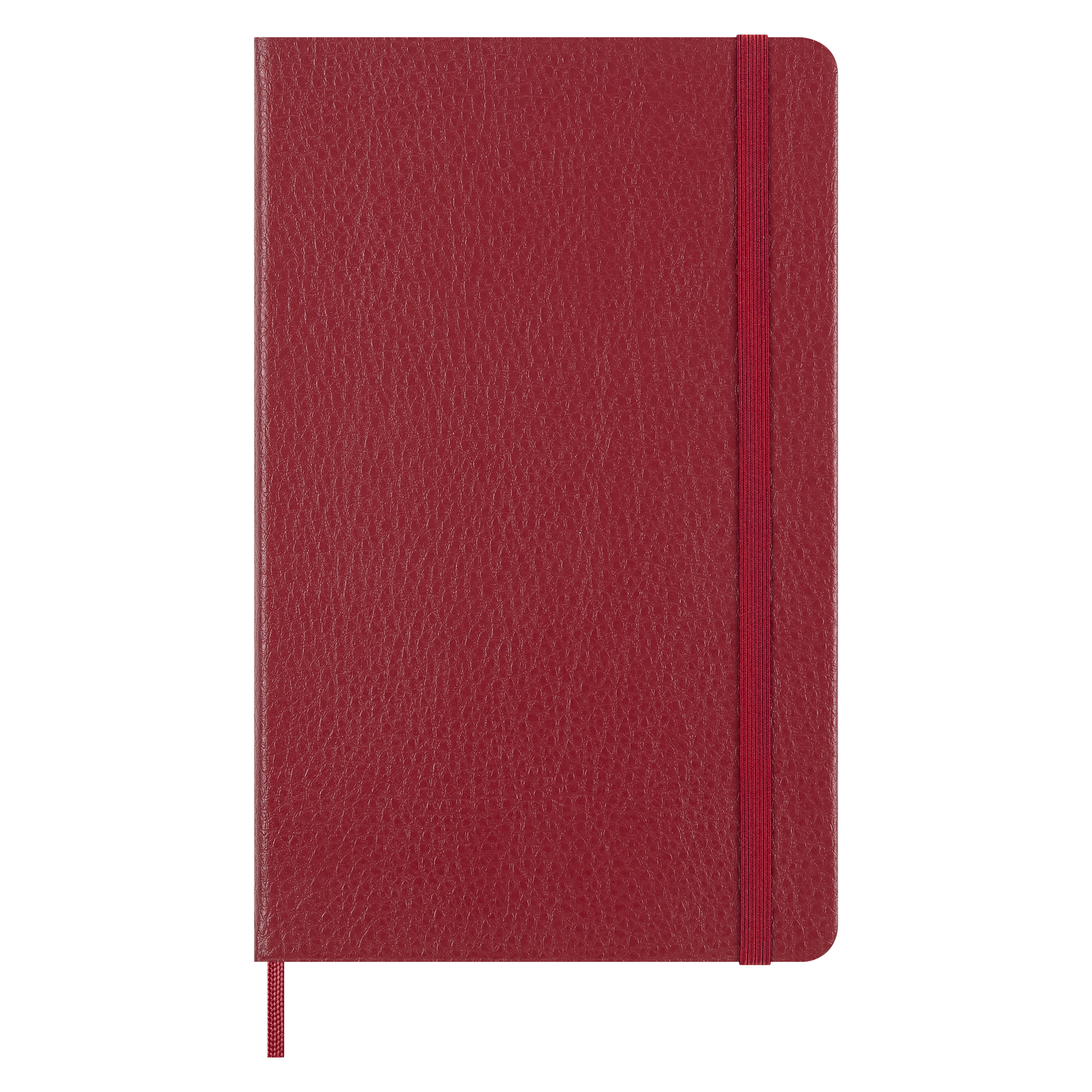 Kreativní sada Moleskine Horse Wood - zápisník linkovaný L - 2 ks, visačka a kuličkové pero