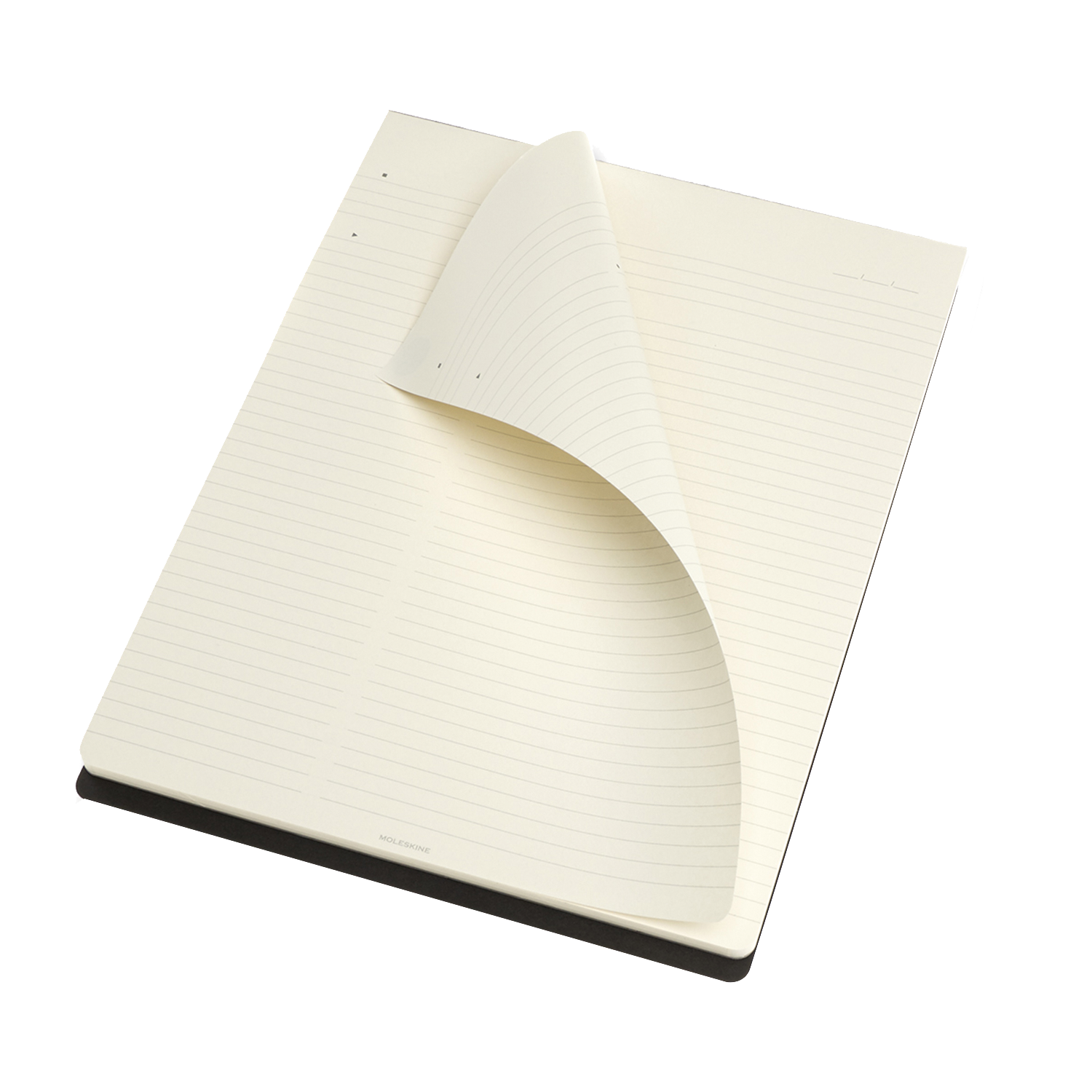 Poznámkový blok Moleskine Professional linkovaný černý - Letter