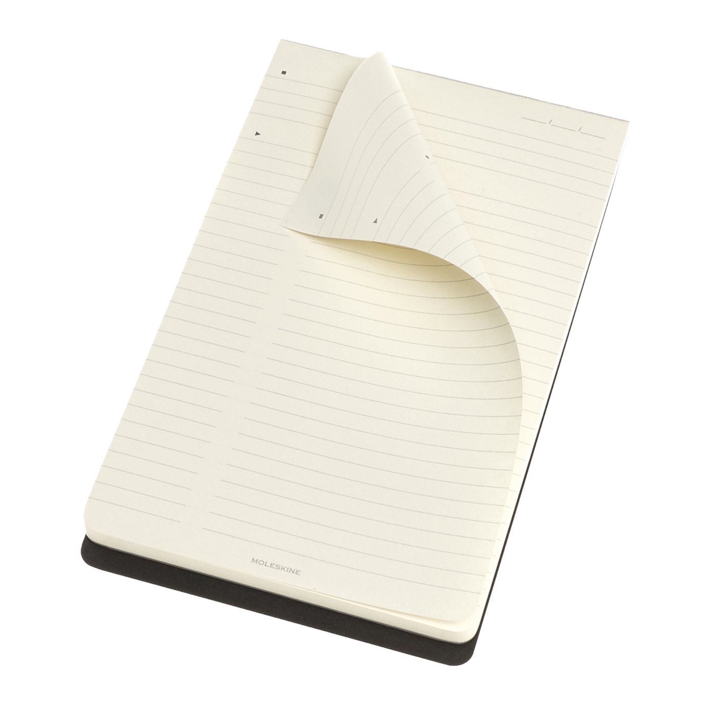 Poznámkový blok Moleskine Professional linkovaný černý L