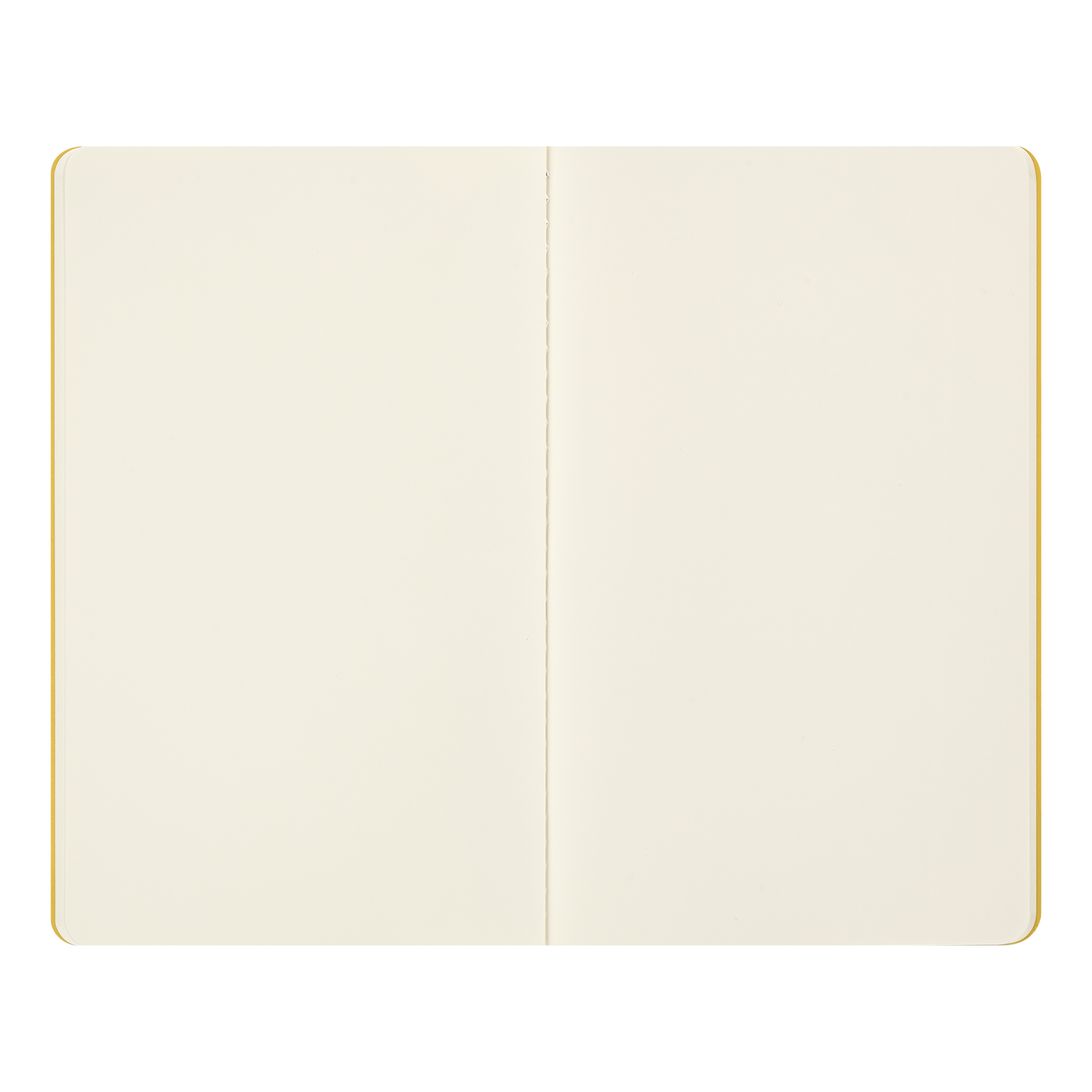MoMA Van Gogh sešity MOLESKINE Cahier 2ks čisté L