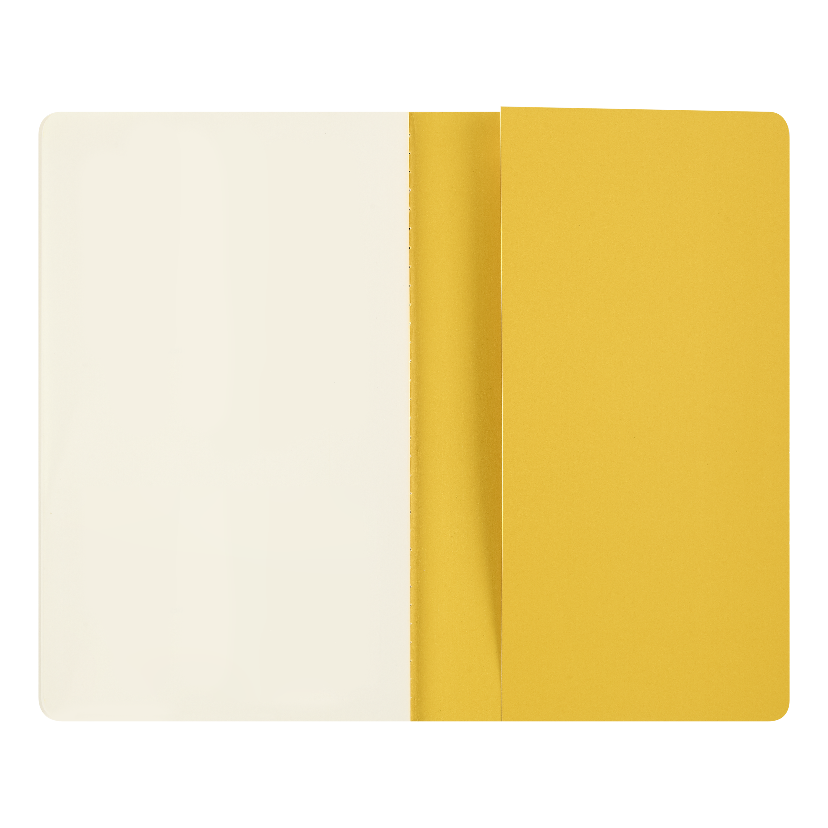MoMA Van Gogh sešity MOLESKINE Cahier 2ks čisté L